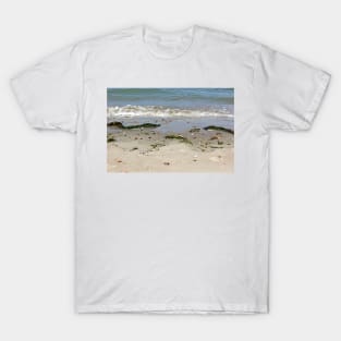 Beach Shoreline T-Shirt